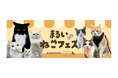 総フォロワー数１００万人以上！人気猫ちゃんとのコラボイベント「まるいねこフェス」を「世界猫の日」にあわせて開催！