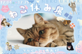 人気猫クリエイター作品が大集結♪ 累計200万人が癒された猫の祭典「ねこ休み展 in 横浜」開催!