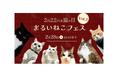 総フォロワー数100万人以上!人気猫ちゃんとのコラボイベント「まるいねこフェス」第2弾を「猫の日」に合わせて開催!