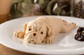 まるでワンちゃん!SNSで話題のスイーツ!「ワンナコッタ」がなんばマルイに登場!
