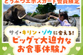 「好き」が“ごはん”になる瞬間を体験！どうぶつエポスカード初の会員限定イベント with アドベンチャーワールド！