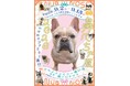 フレンチブルドッグやパグなどの愛らしい“鼻ぺちゃ犬”の作品・グッズが大集合！「鼻ぺちゃ展2026 in マルイファミリー溝口」を期間限定で開催！