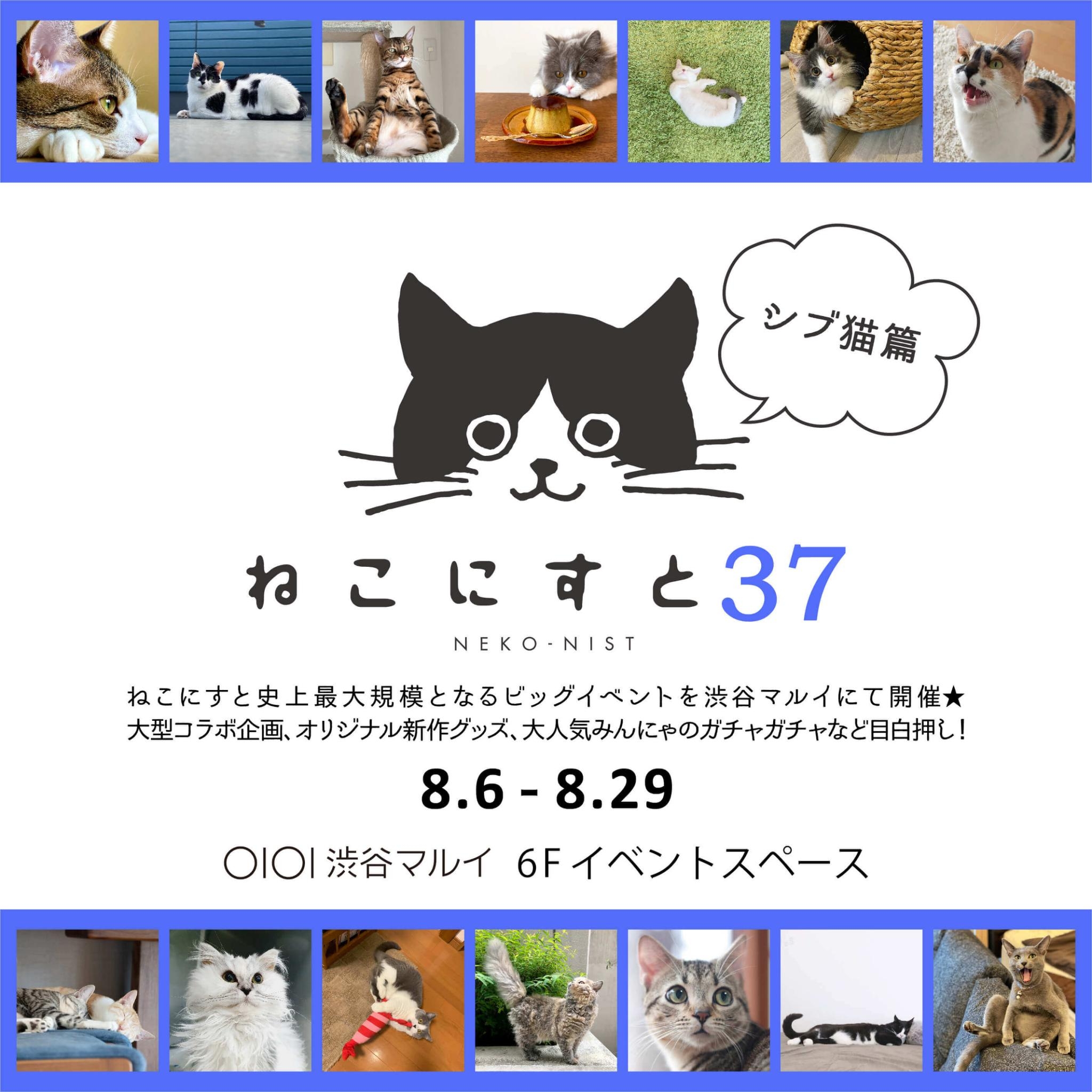 日本最大級のねこ写真パネル グッズ展 ねこにすと ねこにすと３７ シブ猫篇 いぬ写真パネル展 いぬにすと シブ犬篇 渋谷マルイ にて開催します 株式会社ブレークポイントのプレスリリース