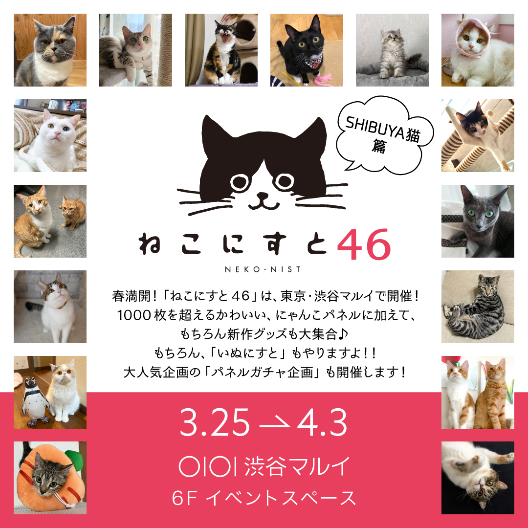 日本最大級のねこ写真パネル＆グッズ展「ねこにすと」】「ねこにすと