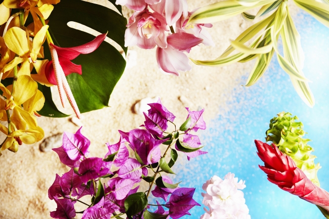 うりずんの季節を色とりどりの花で楽しむ Anaインターコンチネンタル万座ビーチリゾートのプレスリリース