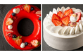 沖縄の海と自然が彩る、特別なクリスマス「MANZAクリスマスケーキコレクション2026」10月1日より予約受付開始