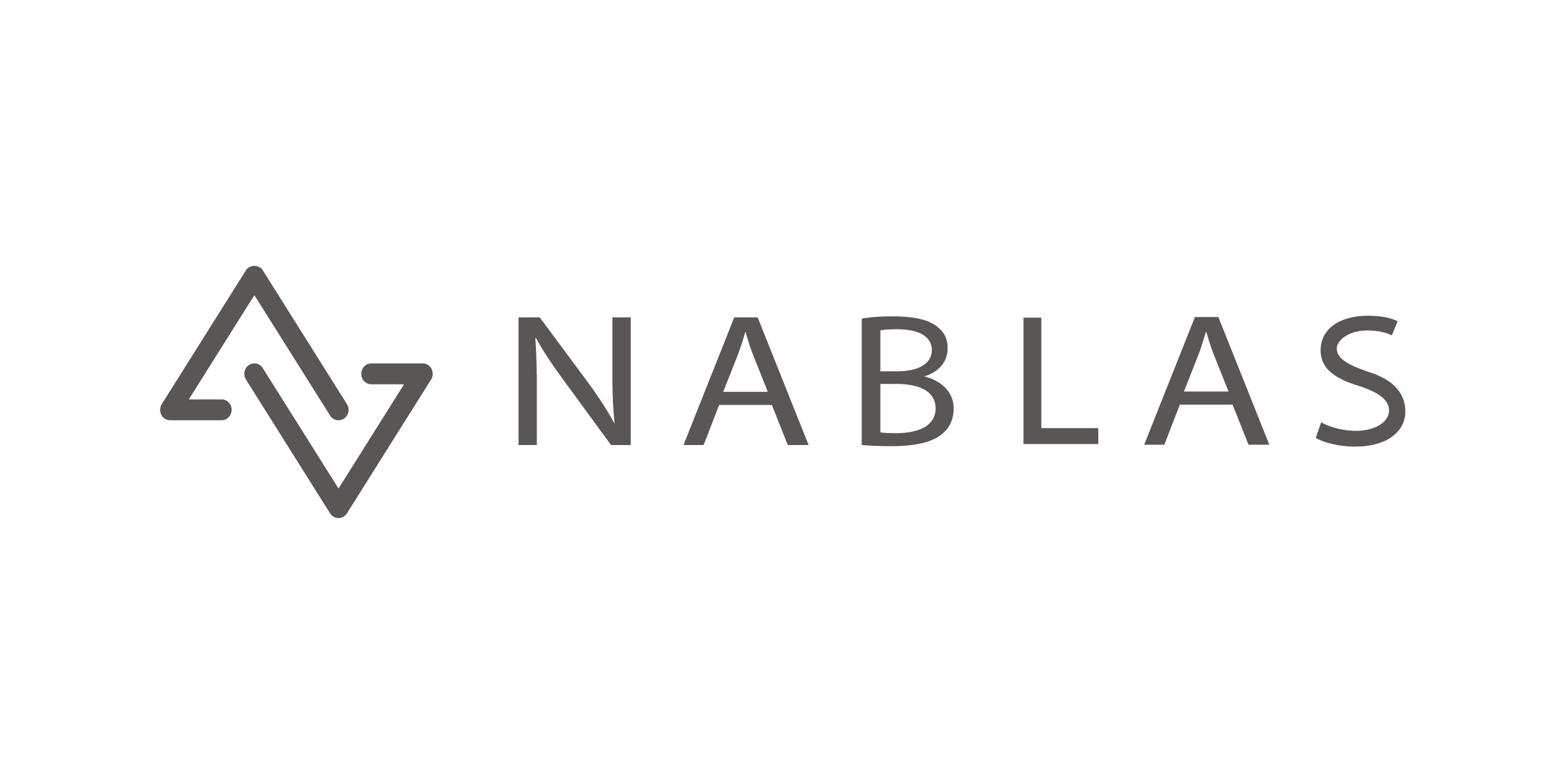 Ai総合研究所nablas 大学発ベンチャー表彰 日本ベンチャー学会会長賞 を受賞 Nablas株式会社のプレスリリース