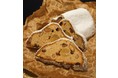 南フランスのクリスマスを彩るスイーツが楽しめる！『La maison JOUVAUD』が伊勢丹新宿店に期間限定出店