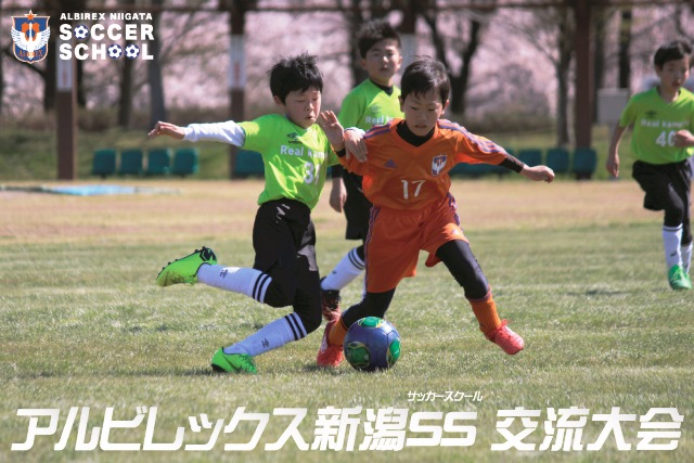 6月1日 土 甲府戦 アルビレックス新潟ss交流大会 を開催 対象カテゴリーは U 11 U 10 参加チームを募集 株式会社アルビレックス新潟 のプレスリリース