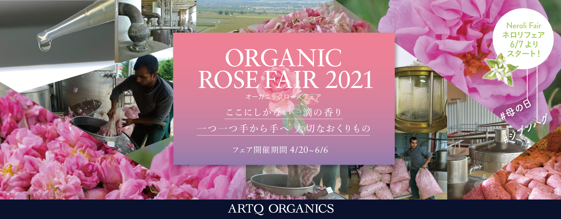 Artq Organicsより ここにしかない1滴の香り 一つ一つ手から手へ 大切な贈り物 オーガニック ローズ ネロリ フェア 21 第1弾 21年4月日 火 より開催 株式会社 Blue Inkのプレスリリース