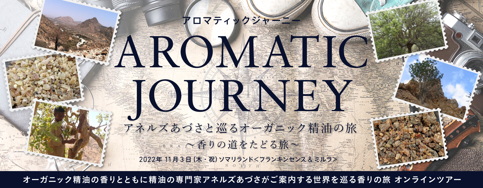 ARTQ ORGANICS(アロマティーク オーガニクス) 『2022 AROMATIC JOURNEY