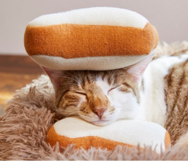サブウェイ史上初 野菜抜きサンドイッチでも元気に 癒し度max ほっこり猫サンド が登場 日本サブウェイ合同会社のプレスリリース