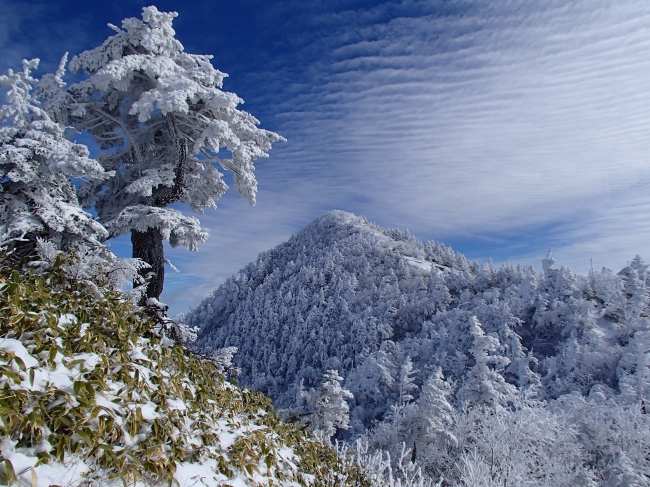 冬の四阿山雪景色