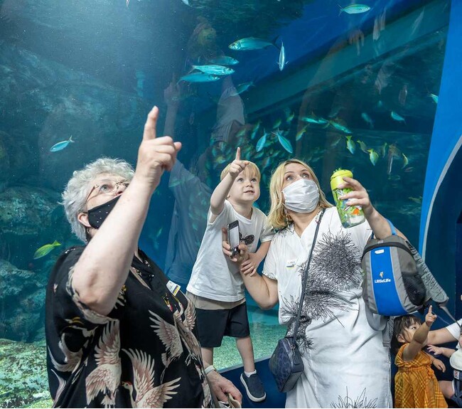 8月8日水族館での心のケア 8月8日水族館での心のケア