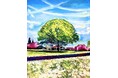 アーティスト・深澤雄太による新作個展「NATSUKASHI」を2025年3月1日(土)より浅草 GALLERY ROOM・Aにて開催