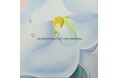 半田颯哉がキュレーション、6名の作家によるグループ展「“Deconstructive Decoration” by Souya Handa」をアートかビーフンか白厨にて2025年6月3日(火)より開催