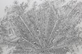 緻密な描き込みで構築される架空の巨大都市。田島大介 個展「無限虚無」が京橋の「Gallery & Bakery Tokyo ８分」にて6月20日(土)より開催