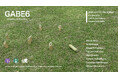 東京藝術大学油画第6研究室（薄久保香研究室）との共同企画展「GABE6 ‒ Drawing as Practice」をスターバックス カフェ & アートギャラリー 谷中御殿坂にて9月4日(金)より開催