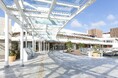 15周年を迎える「テラスモール湘南」でアートイベントを開催 ─ The Chain Museumが企画・プロデュース