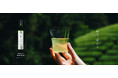 KOTOSHINA 新茶 2026 発売のお知らせ