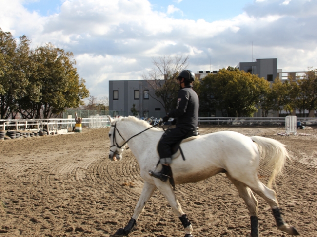 武道館、アーチェリー場、馬場など、様々な課外活動をサポート（神戸大学）