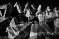 ADFアートギャラリープロジェクト Vol.46 | 写真家・アーティスト 小西弘晃個展「peripheral portraits」が開催