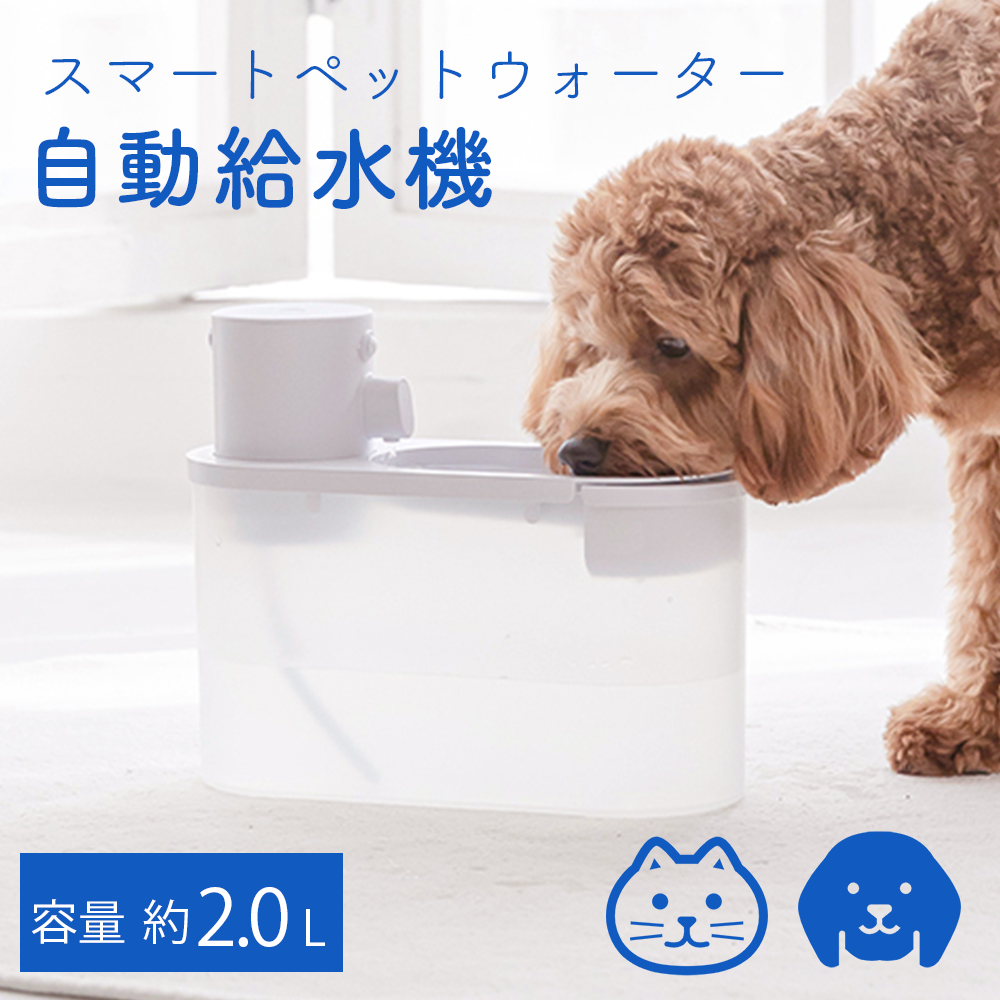 Rakuten DOGS 犬のウォーターベッド 2L alassema-group.com