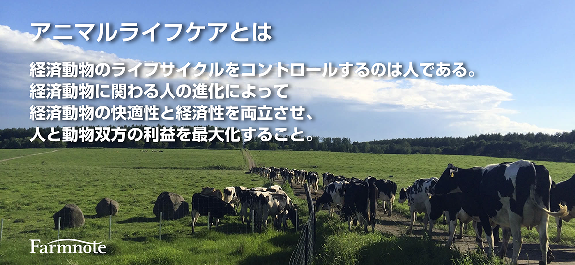 D39111 5 687405 0