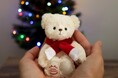 【テディベア専門店がお届けするクリスマス限定ギフト】毎年ご好評いただいている、カワイイがたくさん詰まったクリスマステディベアギフトシリーズ。今年もホリデーシーズンをより楽しく演出します。