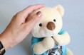 【新商品】小さな手を合わせて、あの子を想う。心に寄り添うお祈りテディベア。まるで亡くなったペットがいつもそばにいるような温かみを感じることができ、飼い主の心を癒してくれます。写真・名前・日付入り。