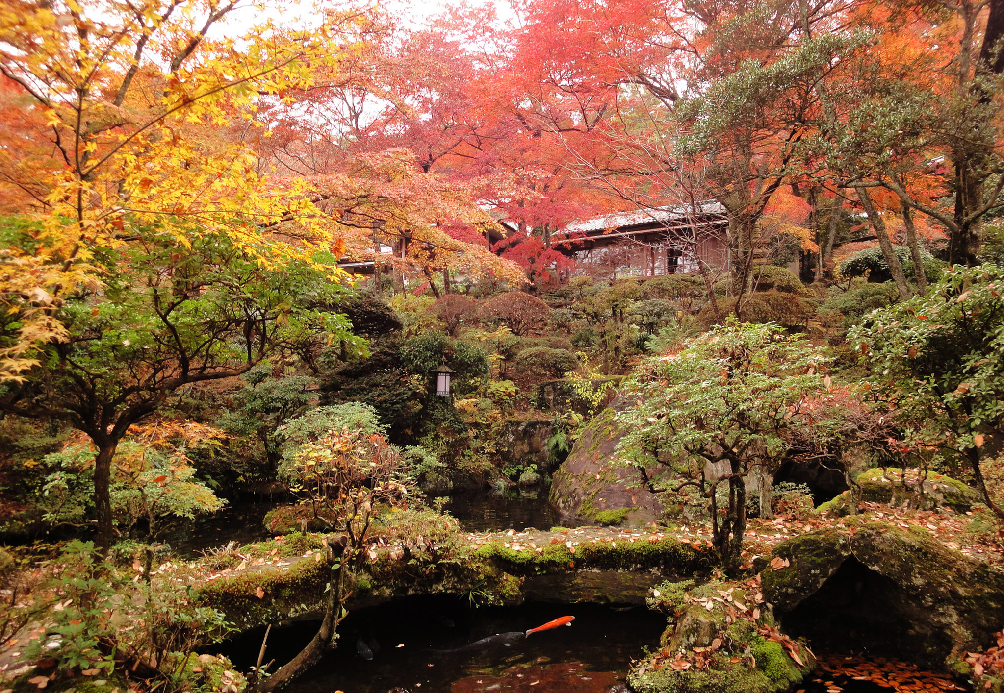 大正時代の趣を残す 旧三菱財閥岩崎家の別荘を継承した老舗旅館 1日名様限定 こだわりの和菓子と抹茶を嗜む期間限定 和カフェ 強羅環翠楼 をオープン 株式会社強羅環翠楼のプレスリリース