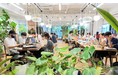 午前10時の「集中時間」導入で残業やミーティング時間を大幅削減午後への追加も更なる生産性向上の期待