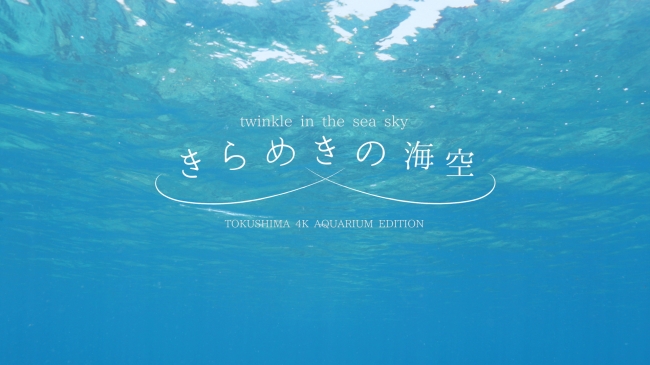 「きらめきの海空 TOKUSHIMA 4K AQUARIUM EDITION」のワンシーン