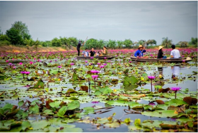 レッドロータス水上マーケット レッドロータス水上マーケット