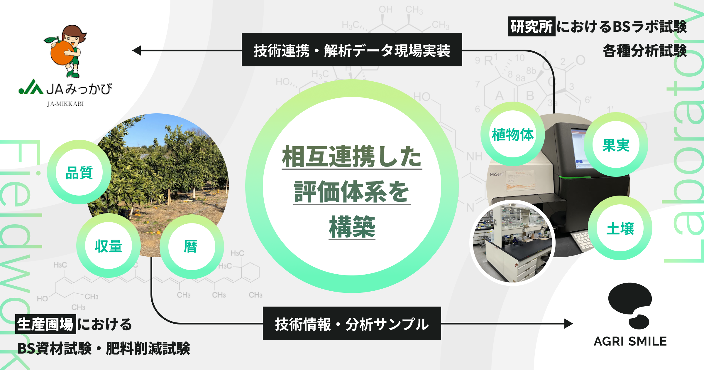 アグリー様確認用