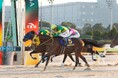 12月29日(日)は今年最後のGⅠレース「東京大賞典」!フジテレビ系列4局での生中継が決定!