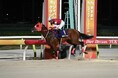 実力ある地方馬・中央馬が集結!3夜連続のダートグレード競走!!