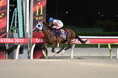 6月10日（水）3歳ダート三冠競走頂点レース「東京ダービー（JpnⅠ）」出走馬フルゲート16頭と枠順が決定！！～若き砂の王者を決める伝統の一戦に注目！～