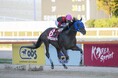 ディクテオンが見事に連覇、昨年に続く快挙達成！コリアカップ（G2）のレース結果について