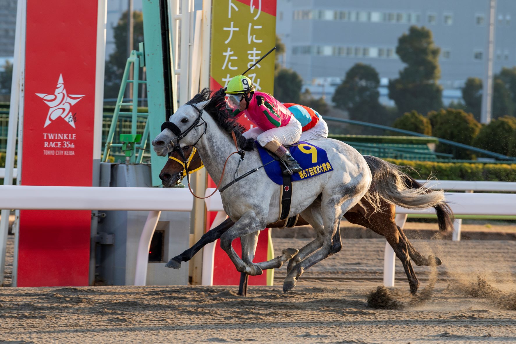 12月29日（木）は今年最後のgⅠレース「東京大賞典」！フジテレビ他3局およびbsフジでの生中継が決定！｜特別区競馬組合のプレスリリース