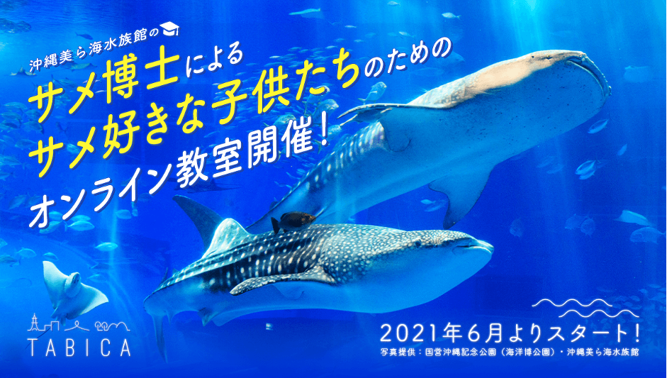 こどもの本気の学び場 沖縄美ら海水族館のサメ博士らとオンライン教室を開講 ガイアックスのプレスリリース