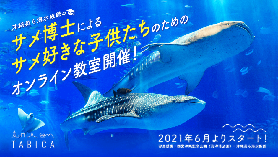 こどもの本気の学び場 沖縄美ら海水族館のサメ博士らとオンライン教室を開講 ガイアックスのプレスリリース