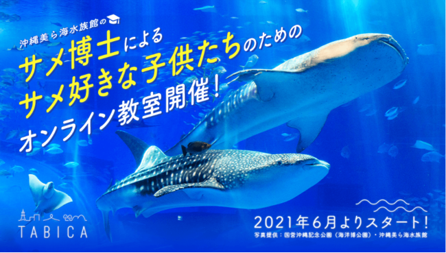 こどもの本気の学び場 沖縄美ら海水族館のサメ博士らとオンライン教室を開講 ガイアックスのプレスリリース