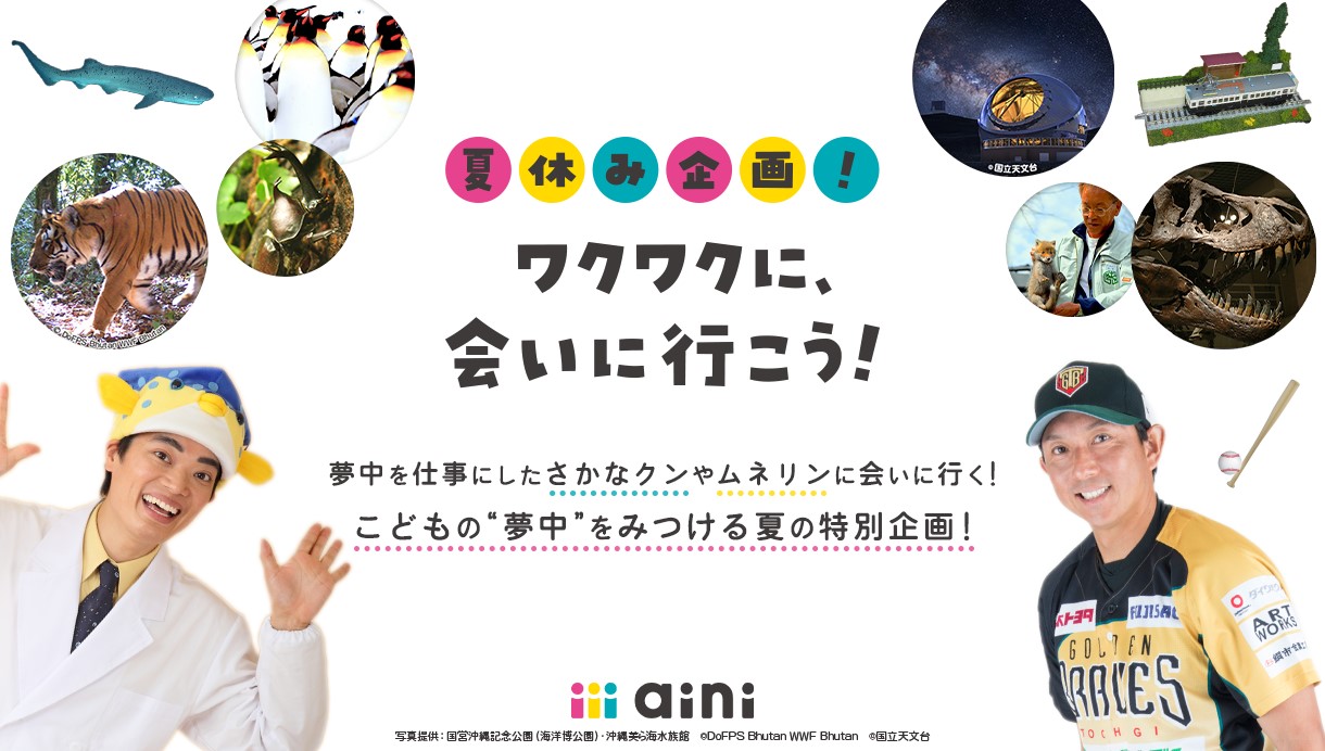 D3955 444 cebfd8a03dd7cbf12c3c 1