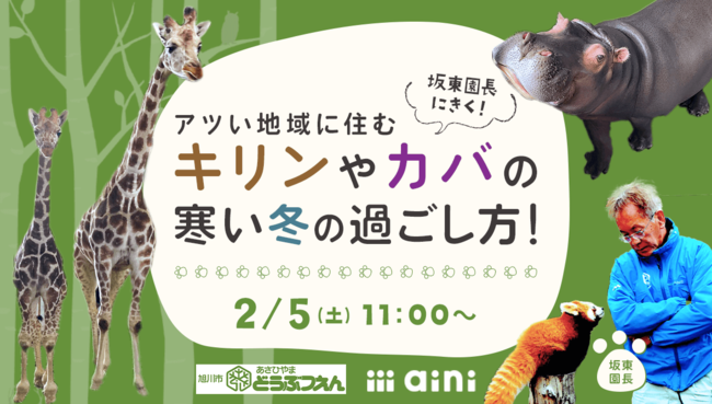 冬真っ只中 旭山動物園の イマ を全国にお届け 厳しい冬をたくましく生きるどうぶつたちのリアルな姿に会える ガイアックスのプレスリリース