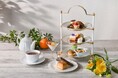 【仙台ロイヤルパークホテル】オレンジとチョコレート 南仏セイボリーで楽しむアフタヌーンティーセット/ロビーラウンジ「フォンテーヌ」