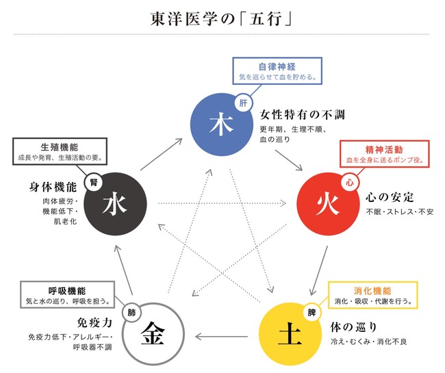 東洋医学の五行論