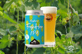 「長濱浪漫ビール」限定醸造ビール『Nagahama Fresh Hop IPA(ナガハマフレッシュホップIPA)』を2026年9月22日(火)より数量限定販売