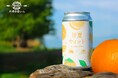 限定醸造ビール『甘夏WIT』5月20日(火)より販売開始!