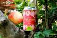 限定醸造ビール『Fruits Gose Peach & Salt(フルーツゴーゼ ピーチ&ソルト)』販売開始のお知らせ